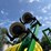 spray-king-1100-side-dress-applicator-image-20