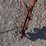 three-bottom-plow-image-9