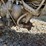 jet-engine-pulling-tractor-image-28