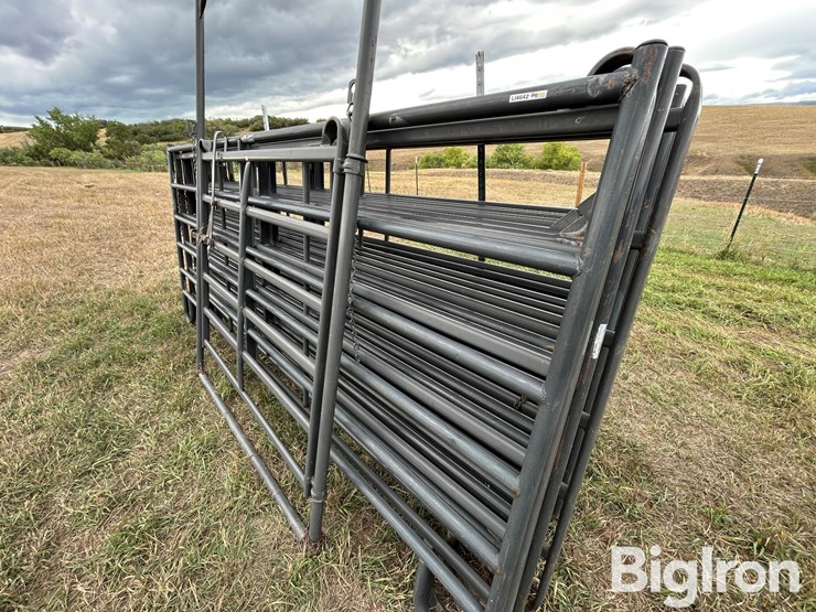 hw-livestock-panels-&-arched-gate-image-9