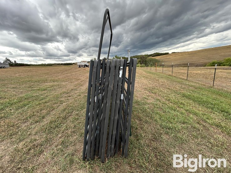 hw-livestock-panels-&-arched-gate-image-8