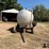 1,300-gal-stainless-steel-t/a-nurse-tank-image-2