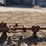 burnham-steam-pump-image-3