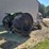 jet-engine-pulling-tractor-image-7