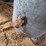 galvanized-tank-image-7