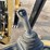 2025-caterpillar-420-image-22