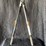 #21-•-fiskars-extendable-pruning-shears-image-1