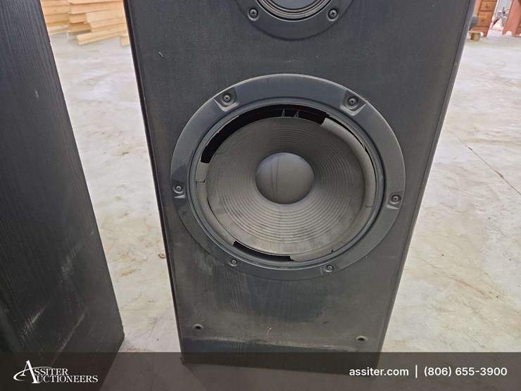(2)-blown-sony-ss-u581av-speakers-image-9