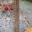 international-no.-7-sickle-mower-image-6