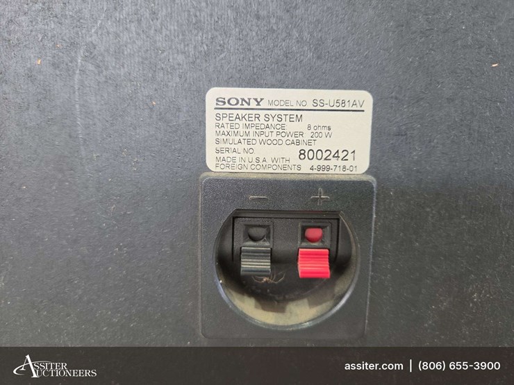 (2)-blown-sony-ss-u581av-speakers-image-11