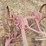 international-no-9-sickle-mower-image-7