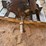 buda-wtu-engine-image-11