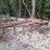 wooden-plow-image-1