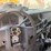 #88-•-2009-ford-super-duty-f-250-crew-cab-pickup-truck-image-8