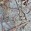 cultivator-image-5