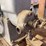 gray-4-hp-engine-image-11