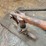 (2)-pumps-image-5