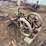 united-1-3/4hp-air-cooled-gas-engine-image-2