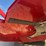 6’-red-skid-steer-brush-cutter-attachment-image-7