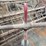 goulds-pump-image-8