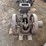 associated-2hp-gas-engine-image-2