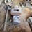 edwards-engine-image-4