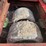 rogers-lowboy-image-30