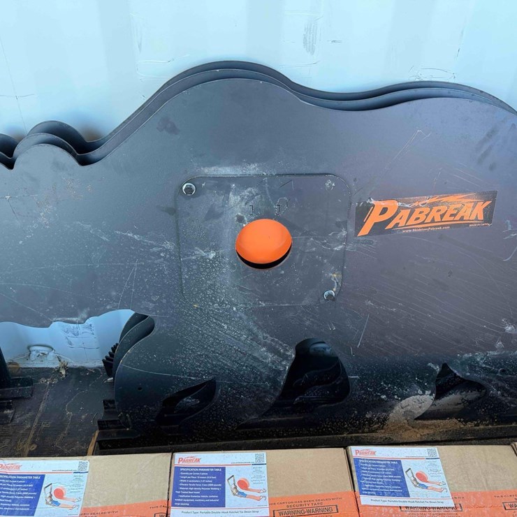 Bear Shooting Target