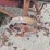 wooden-plow-image-6