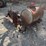 new-idea-transplanter-image-3