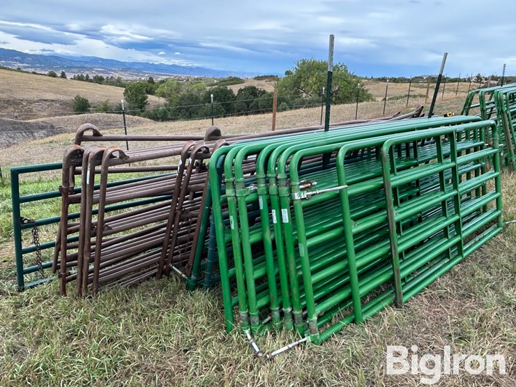 livestock-gates-image-3