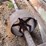 lineshaft-image-5