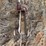 model-sileage-blower-image-6
