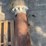 wayne-visible-pump-image-6