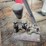 goulds-pump-image-4