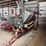oliver-combine-image-2