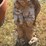 #25-•-concrete-angel-with-baby-statue-26”-image-2