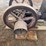 associated-2hp-gas-engine-image-14
