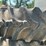 30.5l-32-rice-tires-image-11