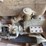buda-wtu-engine-image-14