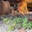 #78-•-2017-eager-beaver-20xpt-flatbed-trailer-image-10