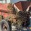 flare-side-wagon-image-5