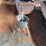 wine-press-image-2