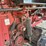 case-ih-rbx453-image-11