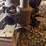 crossley-phc60-compressor-engine-image-8