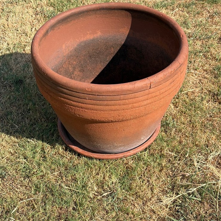 #26 • 20 inch diameter terra-cotta pot with saucer
