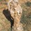 #25-•-concrete-angel-with-baby-statue-26”-image-5