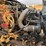 2007-chevrolet-kodiak-c5500-pole-truck-w/-rufnek-winch-image-7