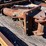 #11-•-hydraulic-breaker-attachment-with-pointed-chisel-bit-image-3
