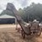 international-one-row-corn-picker-image-2